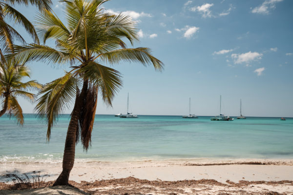 Saona island