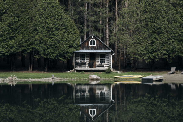 Cabin in the woods