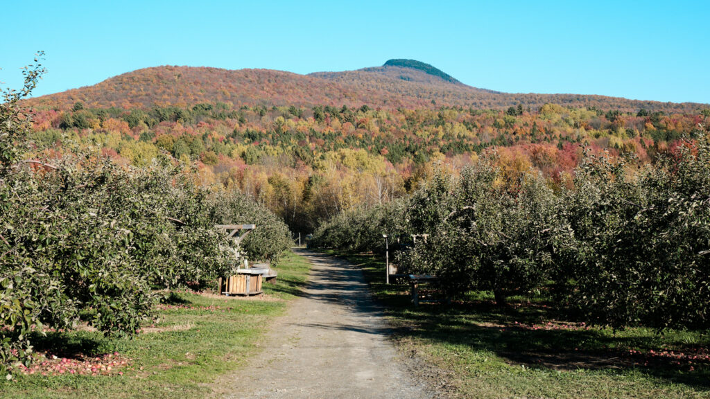Fall