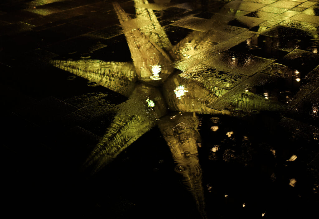 Rainy reflection