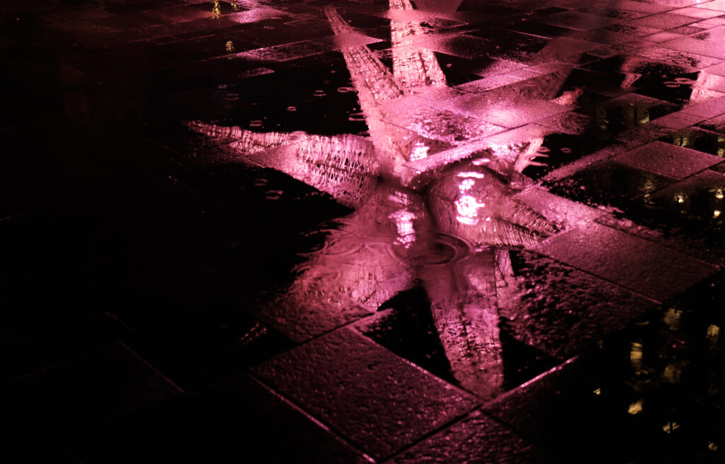 Rainy reflection